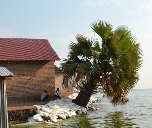 En Ouganda, les effets économiques de la montée des eaux du lac Albert sont dévastateurs