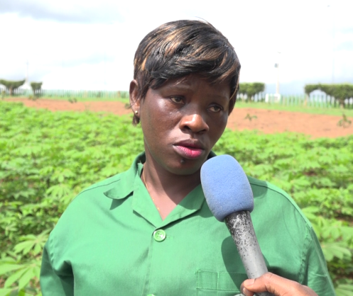 Côte d’Ivoire : Viviane, jeune diplômée ne jure que par l’agriculture pour réaliser ses rêves