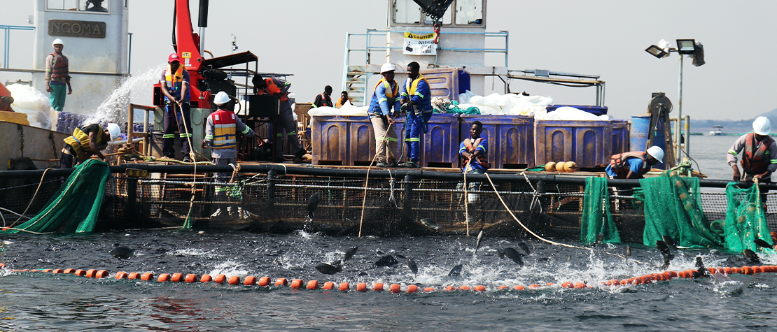 La Zambie progresse dans l’alignement de ses politiques avec la stratégie continentale pour la pêche et l’aquaculture