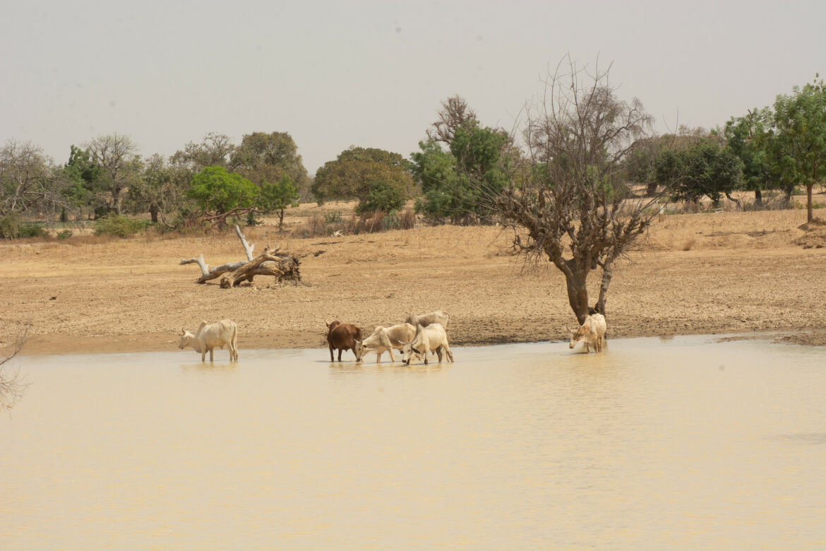 Burkina Faso, Côte d’Ivoire, Sénégal : trois initiatives pour une gouvernance climatique inclusive