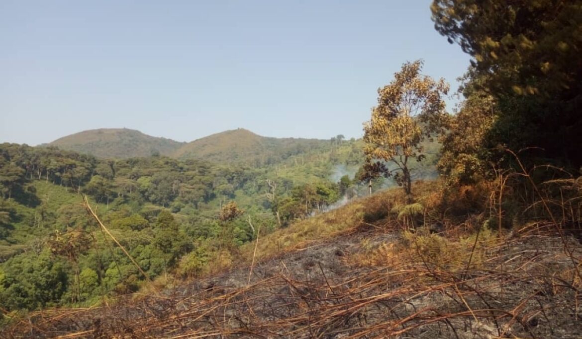 Le Rwanda va restaurer les écosystèmes et renforcer la résilience climatique dans le corridor Nyungwe–Ruhango