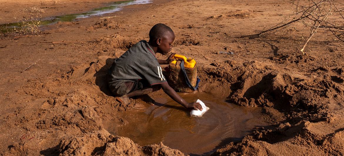 Somalie : plusieurs régions frappées par une grave sécheresse
