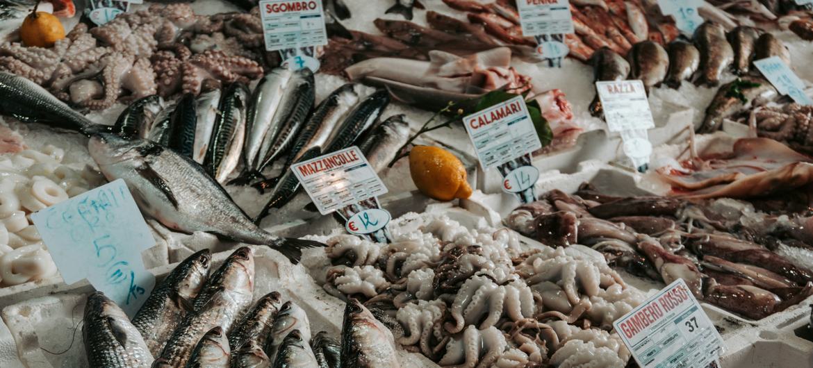 Comment la technologie nucléaire peut aider à lutter contre la fraude aux produits de la mer