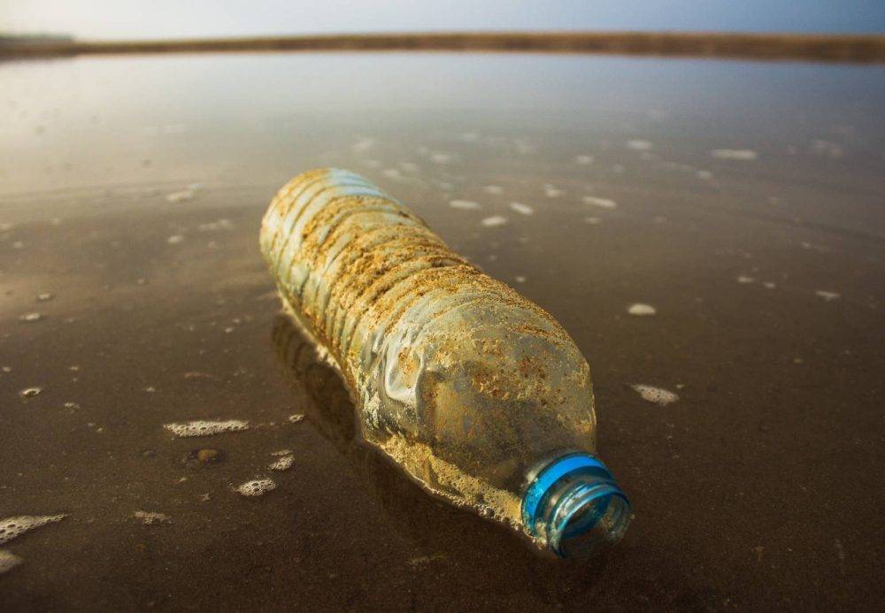 La pollution par les microplastiques en Afrique du Sud : une bombe à retardement pour les écosystèmes et la population