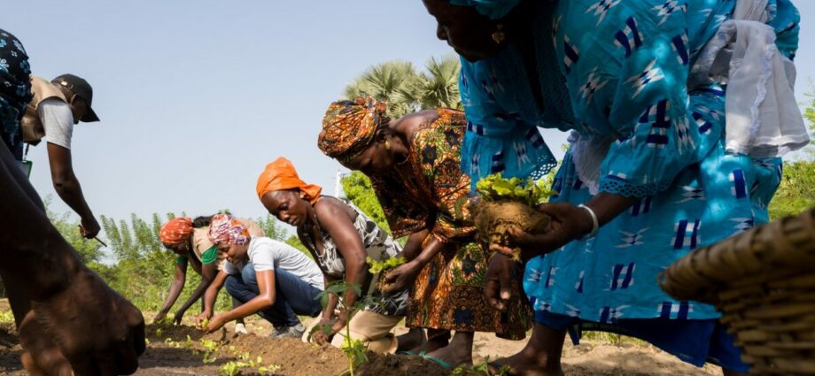 Les Africains en première ligne face à la crise de la biodiversitéRestoration_African-Farmers-Transforming-Food-System_Senegal_Todd-Brown_29-1200x800 (1).jpg