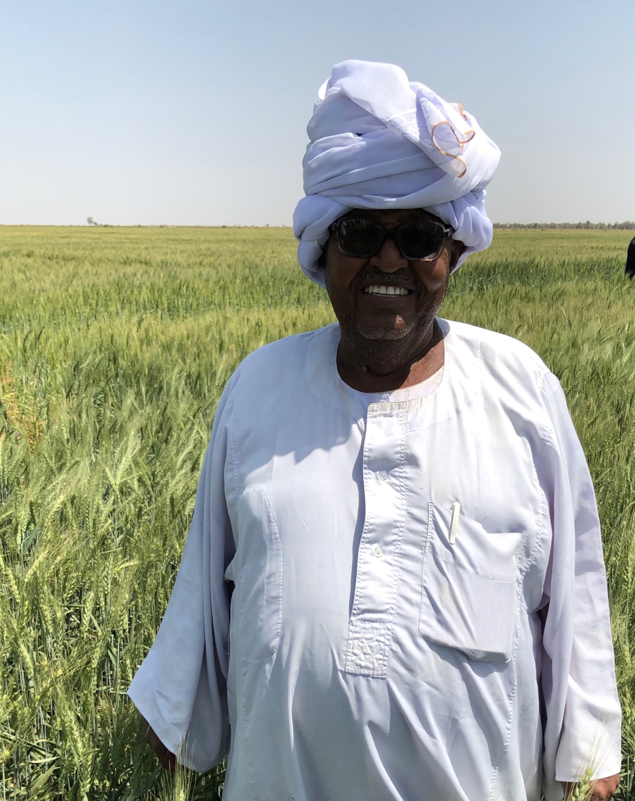Soudan : près de 74 millions $ de la Banque africaine de développement pour booster la production de blé