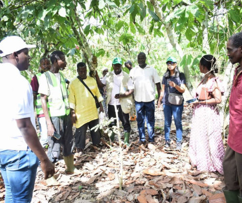Restauration du Couvert Forestier Ivoirien : la l’Organisation des Nations Unies pour l’Alimentation et l’Agriculture (FAO) Satisfaite des Premiers Résultats de la Mise en Œuvre du Projet Promire