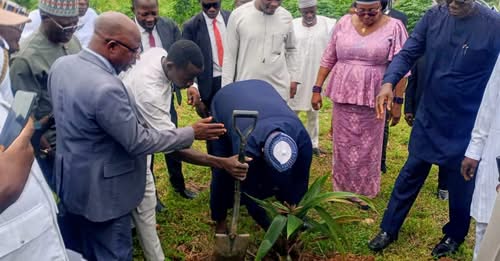Changement climatique : l’État de Kogi (Nigeria) mise sur la plantation d’arbres pour restaurer l’environnement