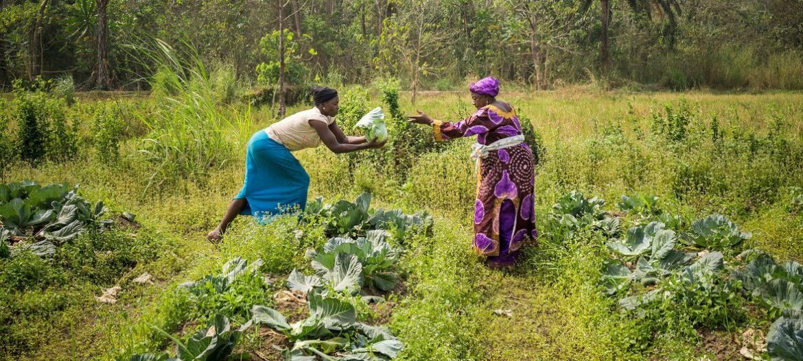 Ces « héros » qui transforment les systèmes alimentaires