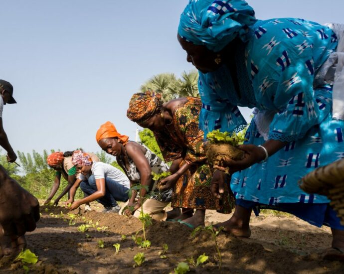 Les Africains en première ligne face à la crise de la biodiversitéRestoration_African-Farmers-Transforming-Food-System_Senegal_Todd-Brown_29-1200x800 (1).jpg