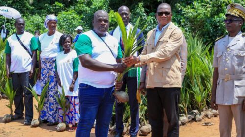 Face aux défis majeurs de la faible productivité des vergers et des difficultés d'accès aux plantations villageoises, plus de 100 000 hectares de nouveaux vergers de cocotiers sont prévus d'ici dix ans Imprimer Partager Copier le texte Obtenir le logo de la source ABIDJAN, Côte d'Ivoire, 3 août 2026/APO Group/ -- Le ministre de l'Agriculture, du Développement rural et des Productions vivrières, Bruno Nabagné Koné, a procédé, le 31 juillet à Grand-Béréby, au lancement officiel du programme intérimaire de développement des filières palmier à huile et coco, marquant la volonté des plus hautes autorités ivoiriennes de repositionner la Côte d’Ivoire parmi les principaux producteurs et transformateurs de palmier à huile et de noix de coco. Selon Bruno Nabagné Koné, le programme intérimaire est la phase pilote dont le succès va poser les bases d’une mise en œuvre plus efficace et à une échelle beaucoup plus grande des différentes stratégies en préparation. « Notre ambition est de reconstruire une filière coco sinistrée pendant trop longtemps », a-t-il expliqué. Face aux défis majeurs de la faible productivité des vergers et des difficultés d'accès aux plantations villageoises, plus de 100 000 hectares de nouveaux vergers de cocotiers sont prévus d'ici dix ans, portés par une stratégie nationale en cours d'élaboration. Grâce aux avancées de la recherche agronomique, de nouvelles variétés rendent désormais possible l'implantation du cocotier dans plusieurs régions du pays, une véritable ouverture de perspectives pour les producteurs, a souligné le ministre Bruno Nabagné Koné. Pour la filière palmier à huile, le ministre de l’Agriculture a annoncé la mise en place d’une nouvelle stratégie d’appui au développement, d’un coût global de 1 077 milliards FCFA. Les objectifs fixés par le gouvernement sont, entre autres, l’accès aux engrais, l’accès aux plants certifiés pour améliorer les rendements, l’amélioration de l’état des pistes de desserte agricole et l’accès au crédit pour les producteurs afin de moderniser les outils de production industrielle. Toutes ces initiatives visent à garantir la compétitivité et la durabilité de ces deux filières au profit des acteurs. « Nous avons confiance en nos producteurs. Le gouvernement sera à leurs côtés pour transformer le potentiel agricole de notre pays en véritables opportunités économiques », a-t-il assuré. Pour sa part, Félix Anoblé, président du conseil d'administration du Conseil Hévéa-Palmier à Huile-Coco, a exhorté les pépiniéristes à produire des plants certifiés afin de garantir la compétitivité, avant d’insister sur la transformation locale pour créer des emplois, plus de valeur ajoutée et de revenus. Distribué par APO Group pour Portail Officiel du Gouvernement de Côte d'Ivoire. Afrique Agriculture Côte d'Ivoire