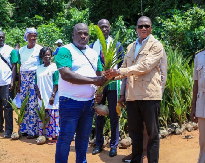 Face aux défis majeurs de la faible productivité des vergers et des difficultés d'accès aux plantations villageoises, plus de 100 000 hectares de nouveaux vergers de cocotiers sont prévus d'ici dix ans Imprimer Partager Copier le texte Obtenir le logo de la source ABIDJAN, Côte d'Ivoire, 3 août 2026/APO Group/ -- Le ministre de l'Agriculture, du Développement rural et des Productions vivrières, Bruno Nabagné Koné, a procédé, le 31 juillet à Grand-Béréby, au lancement officiel du programme intérimaire de développement des filières palmier à huile et coco, marquant la volonté des plus hautes autorités ivoiriennes de repositionner la Côte d’Ivoire parmi les principaux producteurs et transformateurs de palmier à huile et de noix de coco. Selon Bruno Nabagné Koné, le programme intérimaire est la phase pilote dont le succès va poser les bases d’une mise en œuvre plus efficace et à une échelle beaucoup plus grande des différentes stratégies en préparation. « Notre ambition est de reconstruire une filière coco sinistrée pendant trop longtemps », a-t-il expliqué. Face aux défis majeurs de la faible productivité des vergers et des difficultés d'accès aux plantations villageoises, plus de 100 000 hectares de nouveaux vergers de cocotiers sont prévus d'ici dix ans, portés par une stratégie nationale en cours d'élaboration. Grâce aux avancées de la recherche agronomique, de nouvelles variétés rendent désormais possible l'implantation du cocotier dans plusieurs régions du pays, une véritable ouverture de perspectives pour les producteurs, a souligné le ministre Bruno Nabagné Koné. Pour la filière palmier à huile, le ministre de l’Agriculture a annoncé la mise en place d’une nouvelle stratégie d’appui au développement, d’un coût global de 1 077 milliards FCFA. Les objectifs fixés par le gouvernement sont, entre autres, l’accès aux engrais, l’accès aux plants certifiés pour améliorer les rendements, l’amélioration de l’état des pistes de desserte agricole et l’accès au crédit pour les producteurs afin de moderniser les outils de production industrielle. Toutes ces initiatives visent à garantir la compétitivité et la durabilité de ces deux filières au profit des acteurs. « Nous avons confiance en nos producteurs. Le gouvernement sera à leurs côtés pour transformer le potentiel agricole de notre pays en véritables opportunités économiques », a-t-il assuré. Pour sa part, Félix Anoblé, président du conseil d'administration du Conseil Hévéa-Palmier à Huile-Coco, a exhorté les pépiniéristes à produire des plants certifiés afin de garantir la compétitivité, avant d’insister sur la transformation locale pour créer des emplois, plus de valeur ajoutée et de revenus. Distribué par APO Group pour Portail Officiel du Gouvernement de Côte d'Ivoire. Afrique Agriculture Côte d'Ivoire